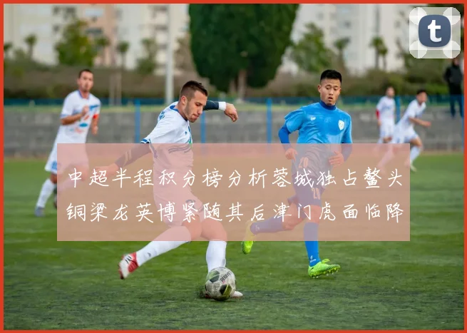 中超半程积分榜分析蓉城独占鳌头铜梁龙英博紧随其后津门虎面临降级危机